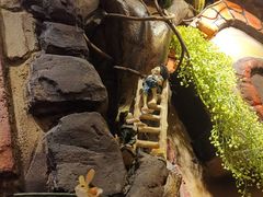 景观位-祖母的魔法厨房(陆家嘴店)