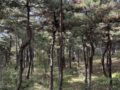 -太行锡崖沟旅游度假区