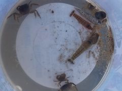 -叉叉纳里客栈(珠海情侣路唐家湾沙滩店)