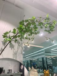 点击看大图 -潘多拉Hairsalon