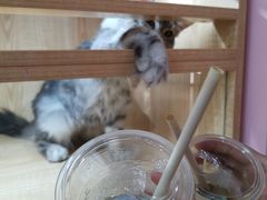 -Seesaw Coffee(西岸凤巢店)
