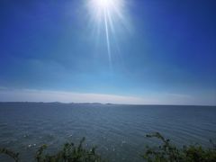 -贡湖湾湿地公园