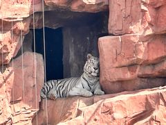 -鄂尔多斯野生动物园