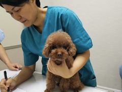 -爱妮康宠物医院·干细胞免疫细胞·肿瘤·心脏(张江店)