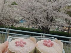 -汪玉霞(汉口里店)