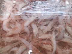 -山海经·海边人家 海鲜新青岛菜(扬州路店)