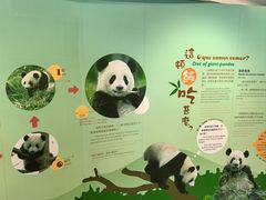 -石排湾郊野公园