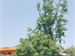 -无锡动物园·太湖欢乐园