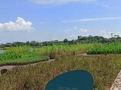 -深圳人才公园