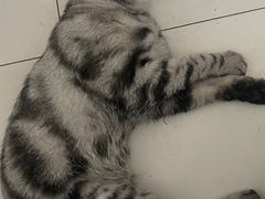 -乐宠动物医院