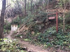 -大岭沟猕猴桃谷风景区