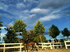 会员在上课-月河湾马术俱乐部(朝阳店)