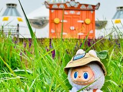 -敕勒川草原