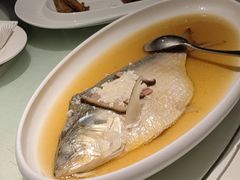 酒酿清蒸鲥鱼-席家花园(巨鹿花园店)