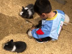 -KKV(深圳宏发大仟里店)