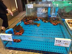 水产区-船歌·鱼水饺青岛菜(闽江二路店)