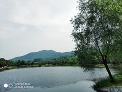 -石塘人家