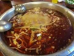 -中和远东火锅兔(老店)