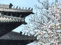 -隆兴寺