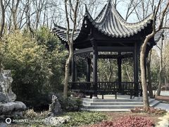 -合肥滨湖国家森林公园