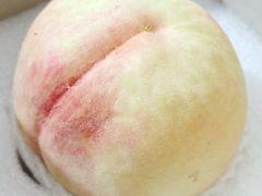 -老袁家蜜桃农场·阳山水蜜桃