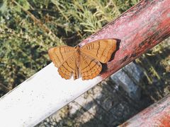 -汉中石门栈道景区