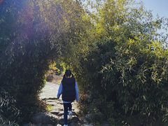 -白塘生态植物园