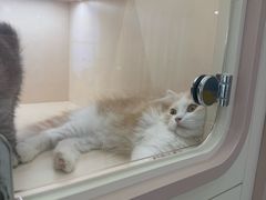 -新盈光·心院(嘉恒广场店)
