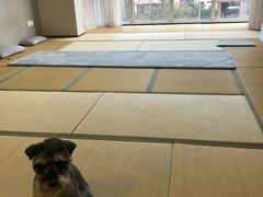 -仰生如卉推拿养生馆(酒仙桥店)