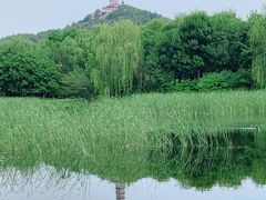 -北坞公园