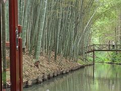 -同里国家湿地公园