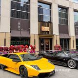 在上海，请爸妈来这里吃饭会被夸爆吧（新开的）