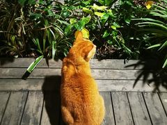 -默迹咖啡馆
