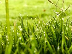 -无味饭店(九眼桥商业文化广场店)