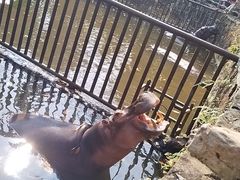 -海南热带野生动植物园
