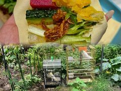 -蘸小院铁锅炖·蘸酱菜·东北菜(怀远门店)