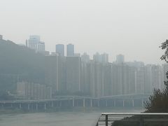 -老宋家鱼馆(北滨路店)