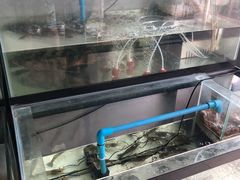 -蘭桂坊海鲜烧烤抖音网红餐厅