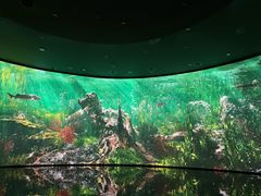 -中国湿地博物馆