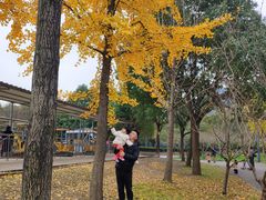 -东钱湖水上乐园(南门)