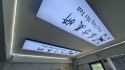-东方美妍
