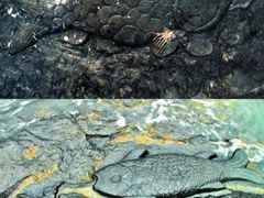 -白鹤梁水下博物馆