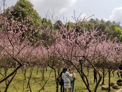 -贵阳市花溪国家城市湿地公园