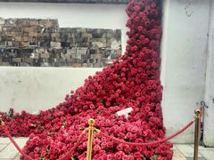 -青果巷历史文化街区