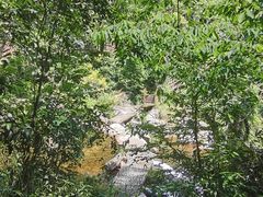 -海南热带雨林国家公园吊罗山景区