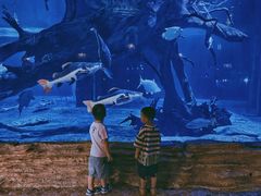 -华夏文旅海洋公园