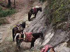 -崀山风景名胜区