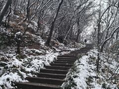 -句容茅山景区