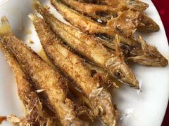 -蛇口康乐快餐鱼仔档(翠苑小区店)