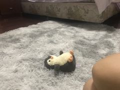 -宝兴源记手撕鸡(第88分店)